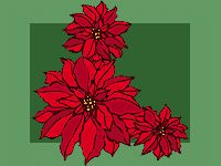 Poinsettia Picture